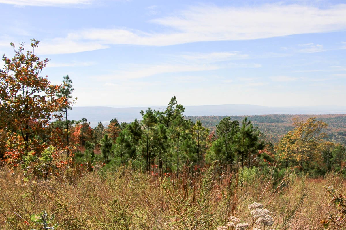 Stone Creek Phase III photo 8