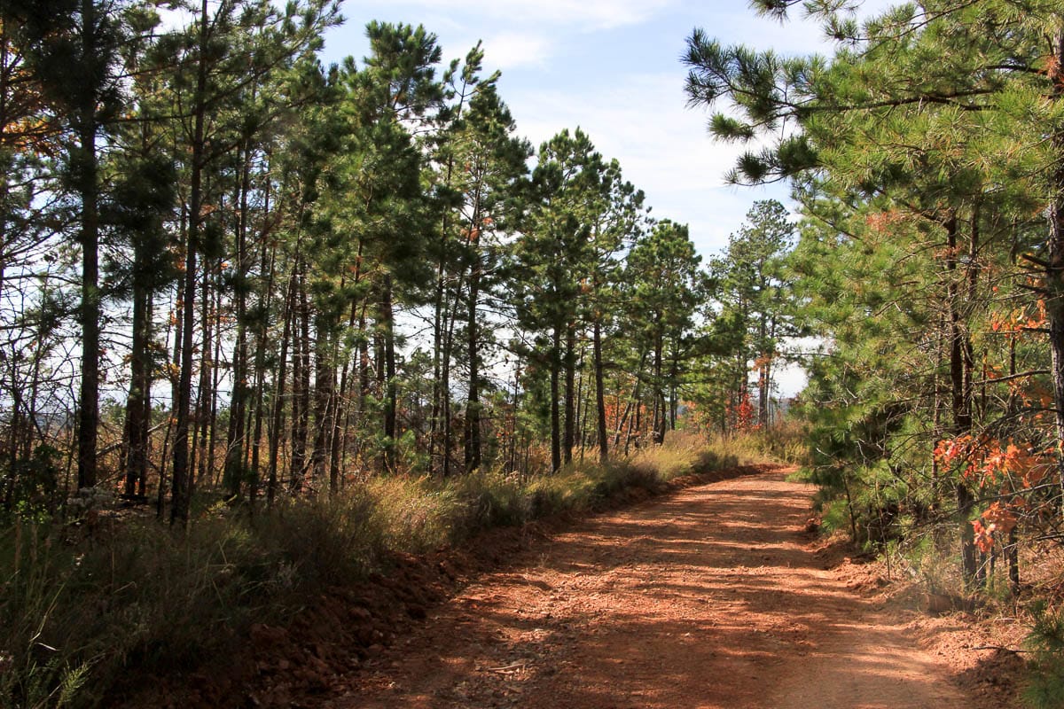 Stone Creek Phase III photo 5