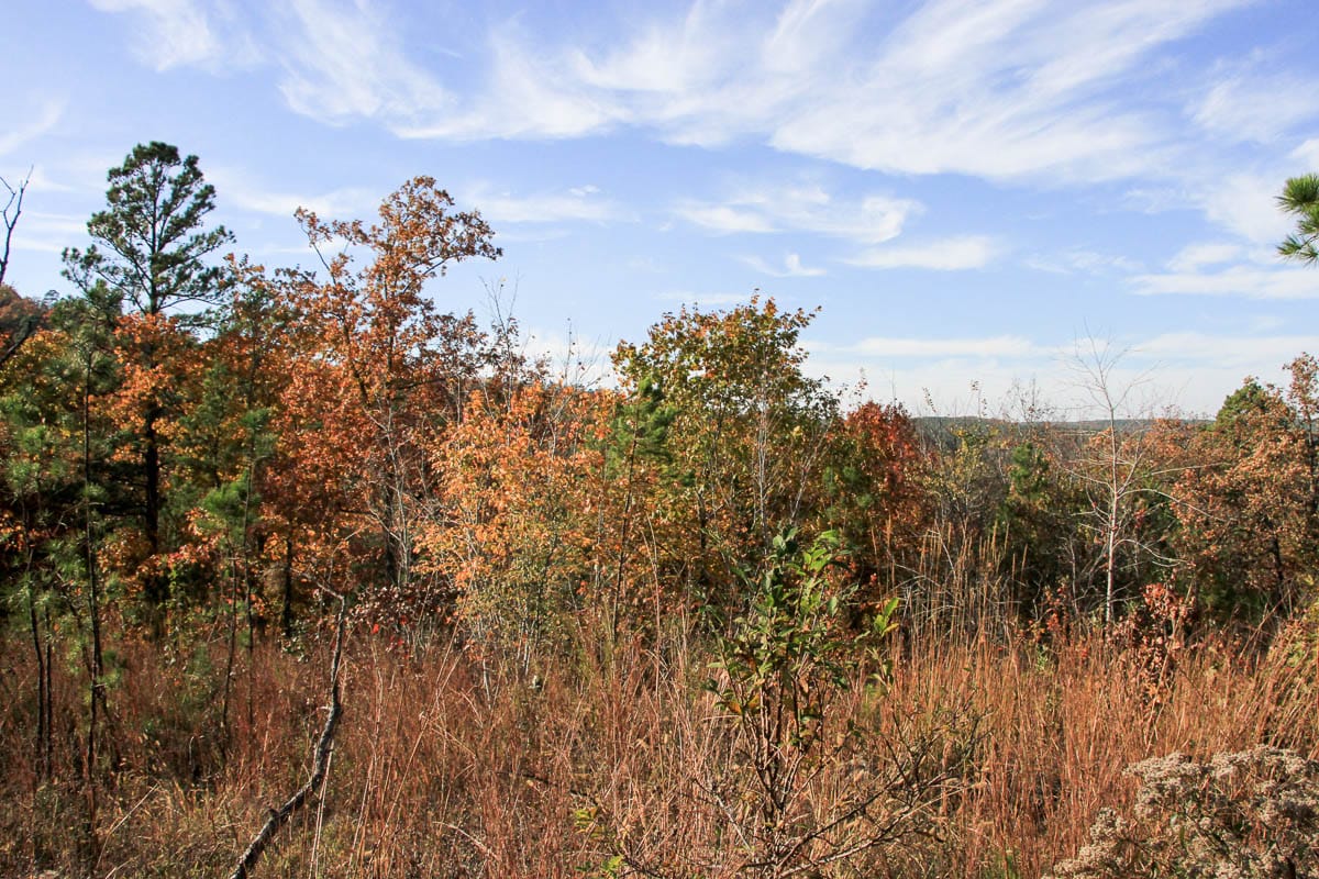 Stone Creek Phase III photo 19