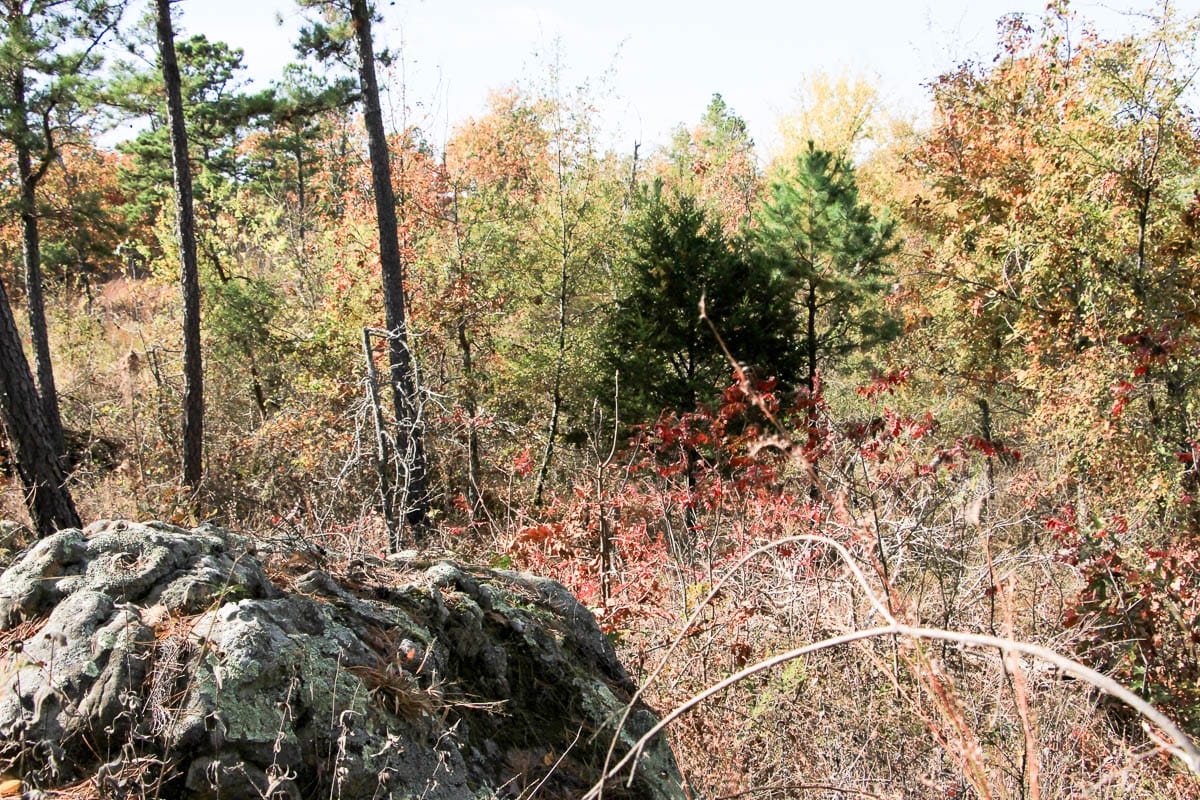 Stone Creek Phase III photo 9