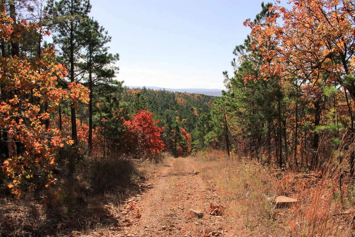 Stone Creek Phase III photo 29
