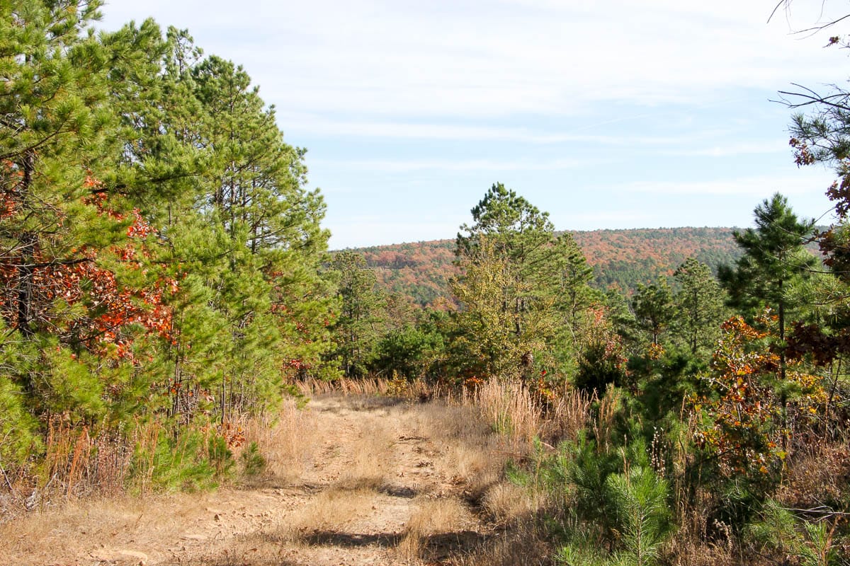 Stone Creek Phase III photo 3