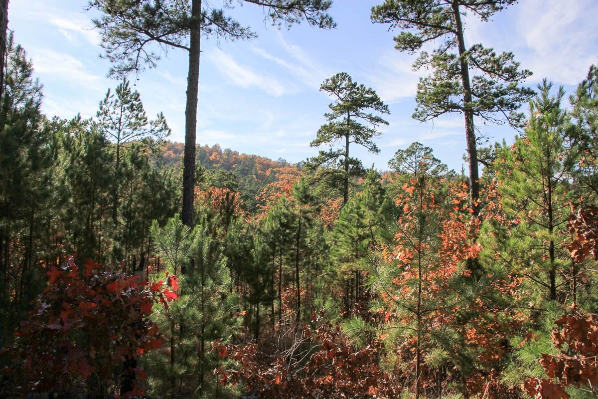 Stone Creek Phase III photo 17