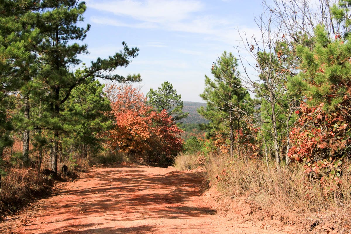 Stone Creek Phase III photo 6