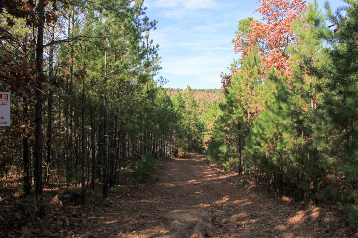 Stone Creek Phase III photo 15