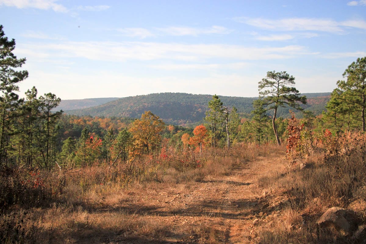 Stone Creek Phase III photo 24