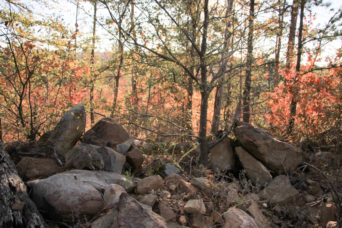 Stone Creek Phase III photo 25