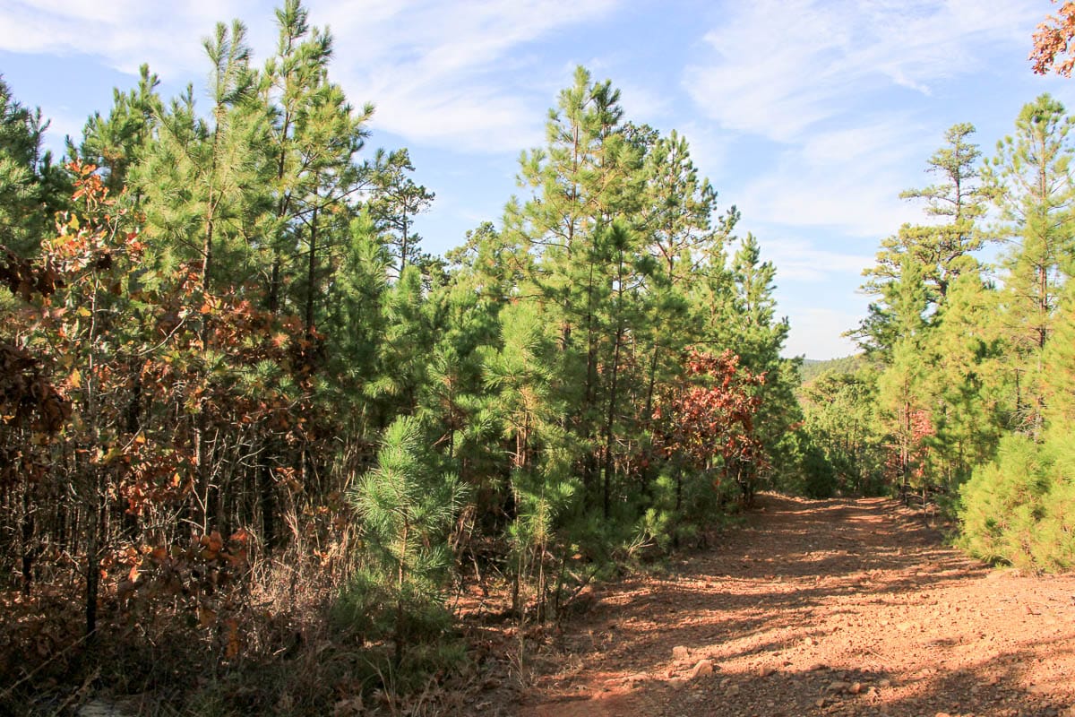 Stone Creek Phase III photo 18