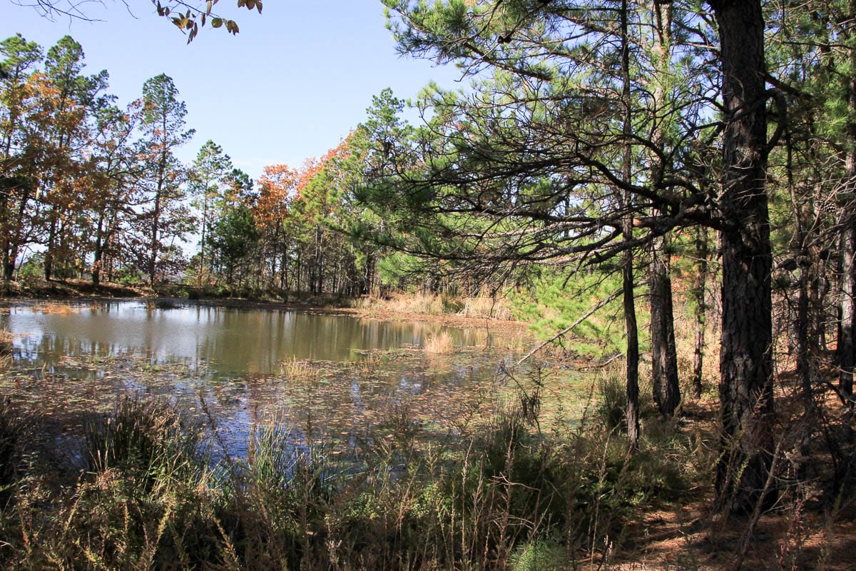 Stone Creek Phase III photo 30