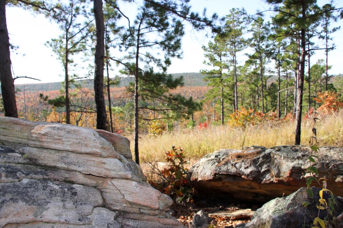 Stone Creek Phase III photo 28