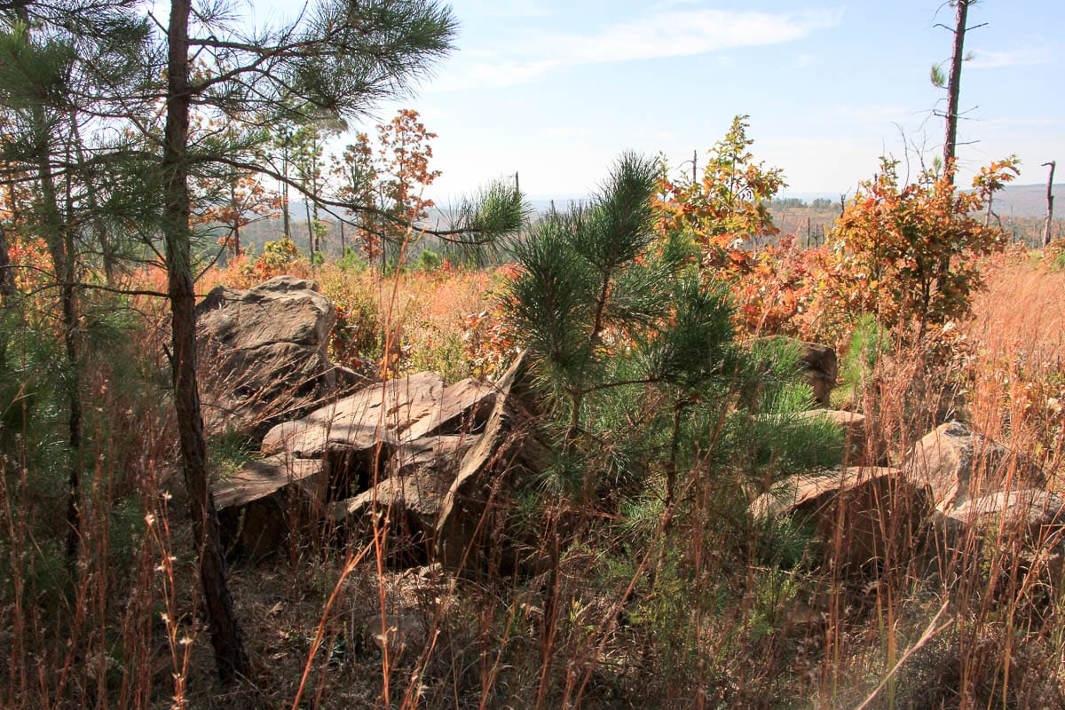 Stone Creek Phase III photo 12