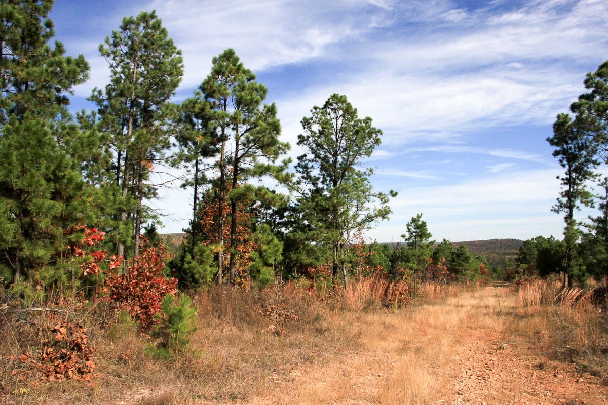 Stone Creek Phase III photo 4
