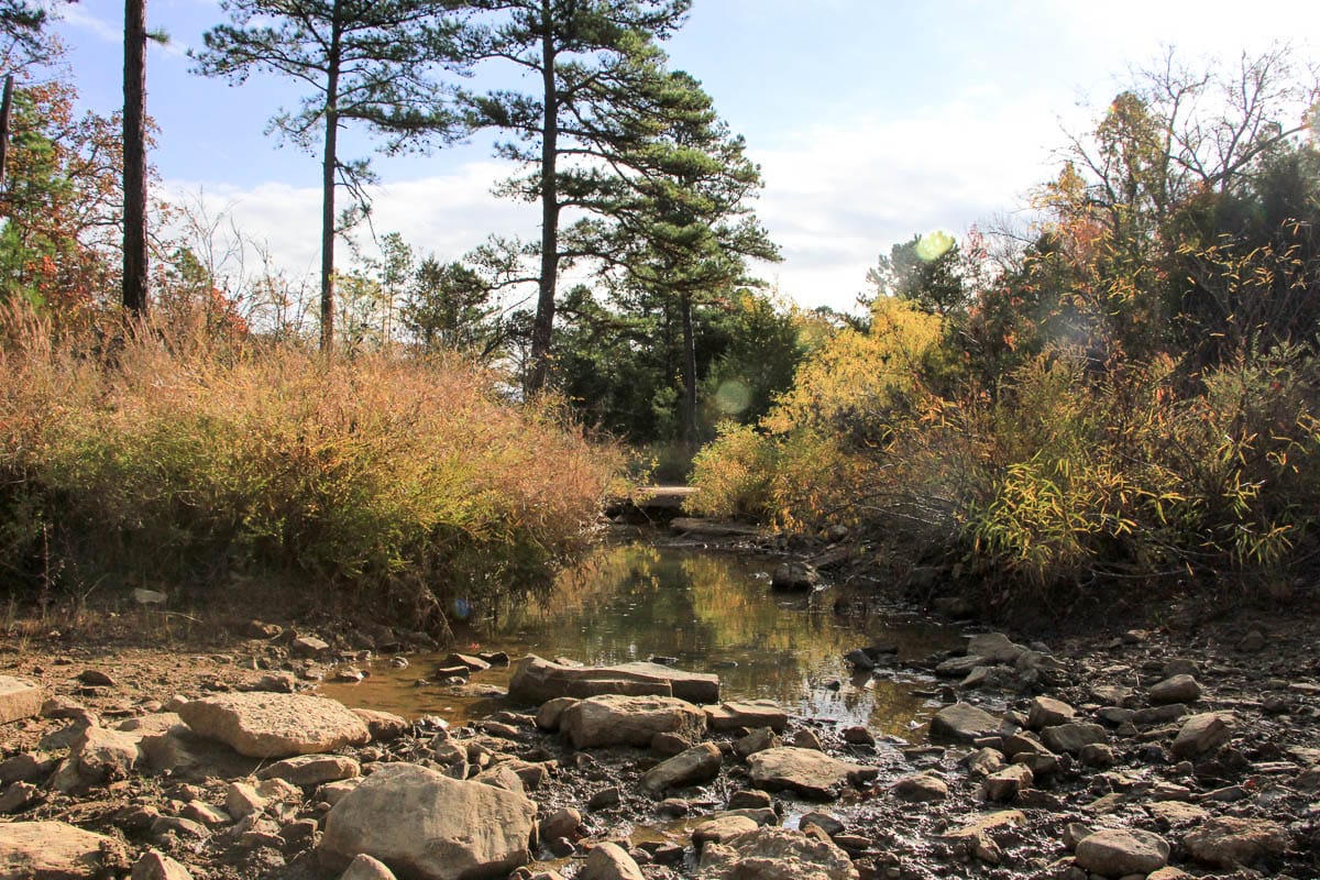 Stone Creek Phase III photo 27