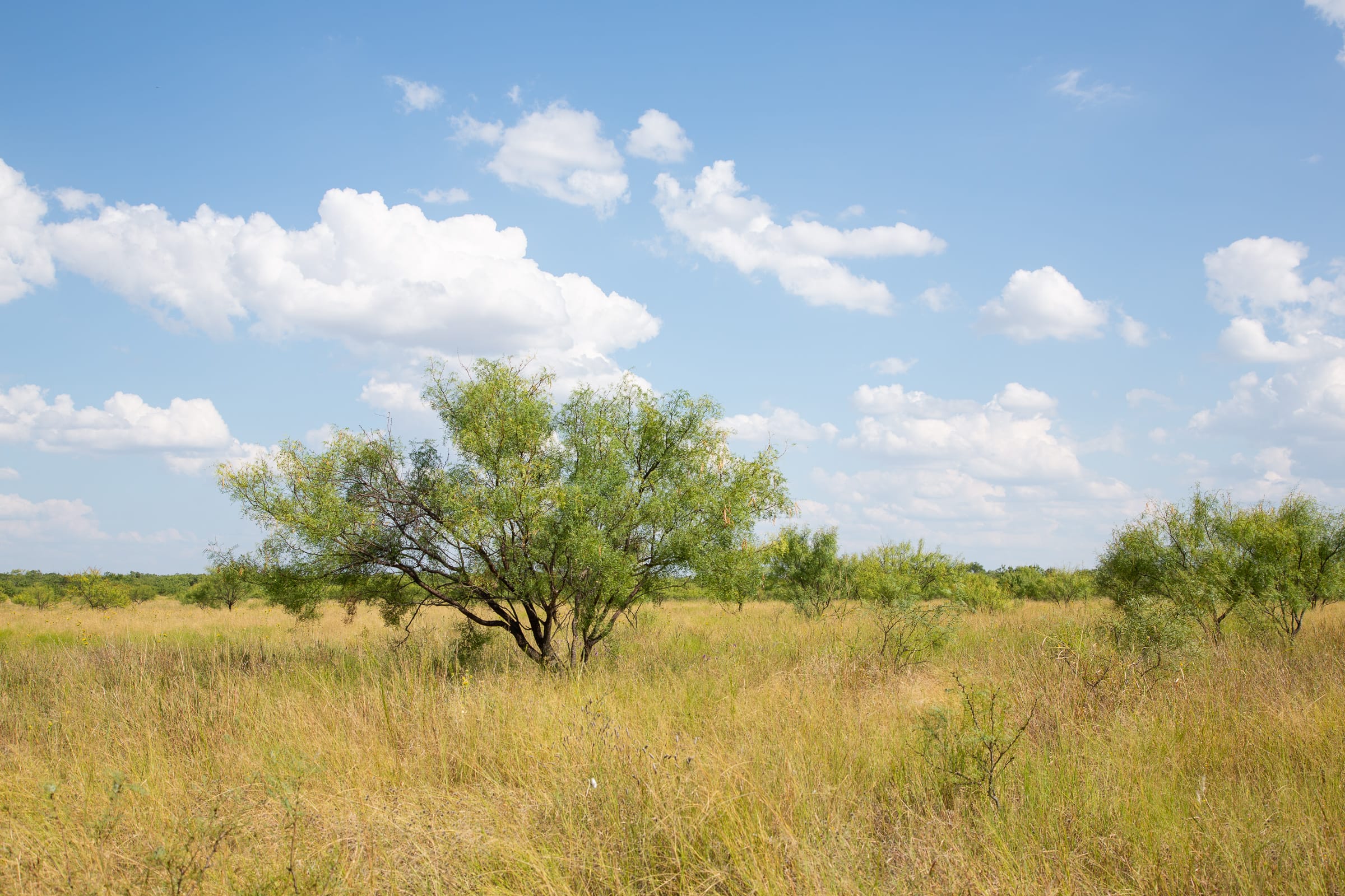 Hunter’s Ranch photo 6