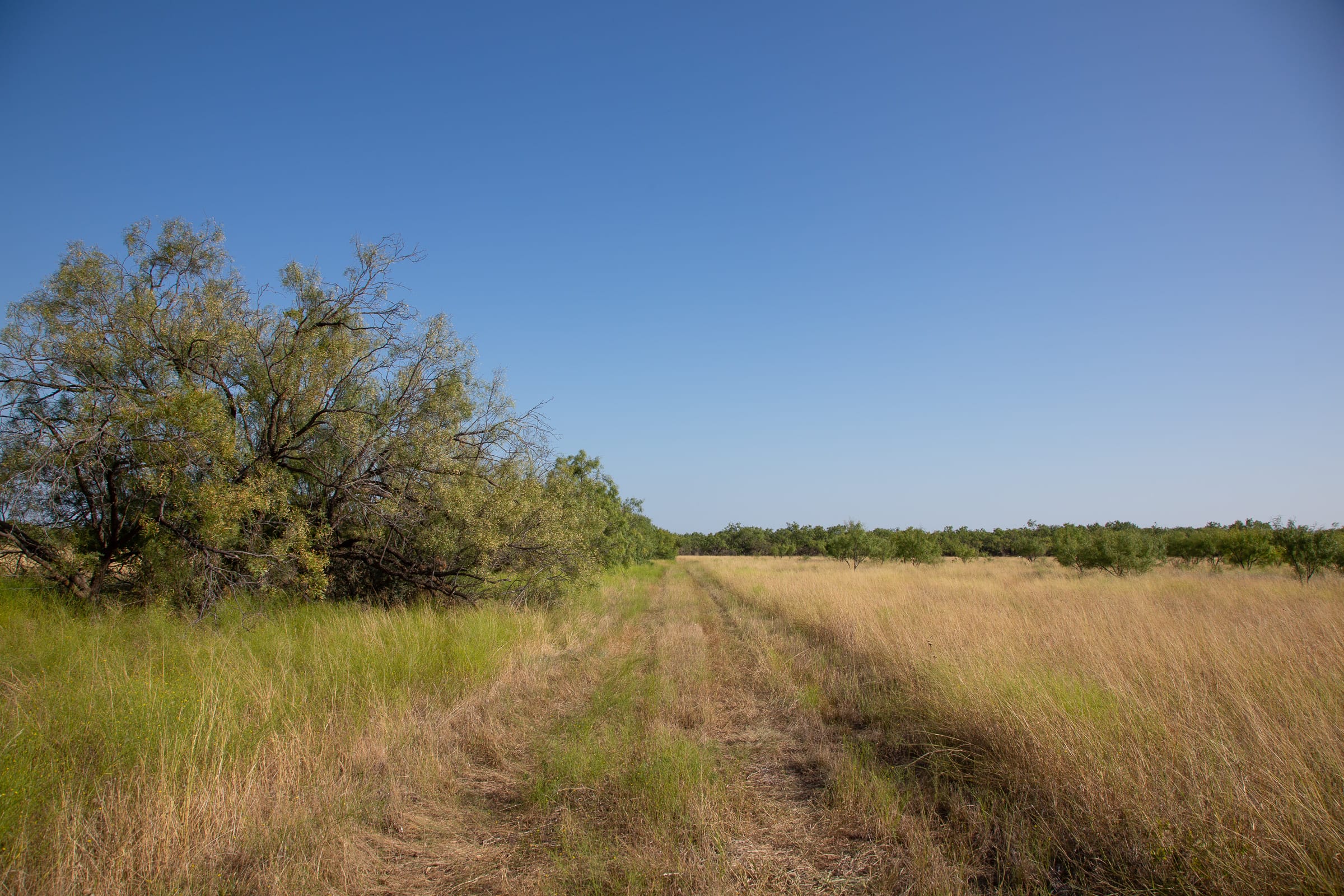 Hunter’s Ranch photo 11