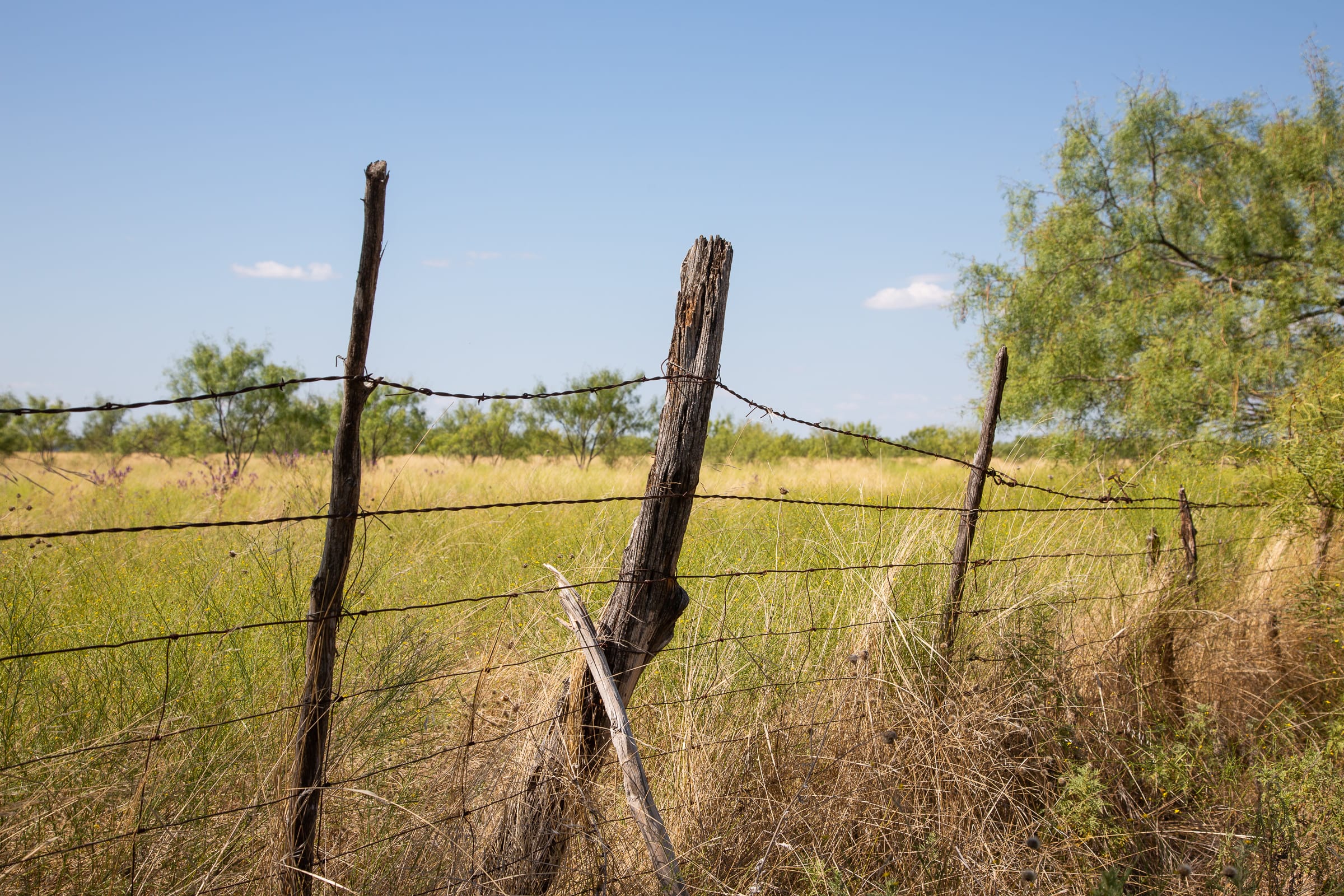 Hunter’s Ranch photo 16