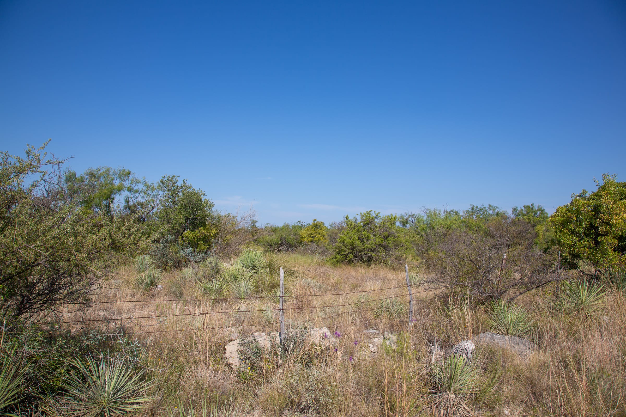 Hunter’s Ranch photo 13