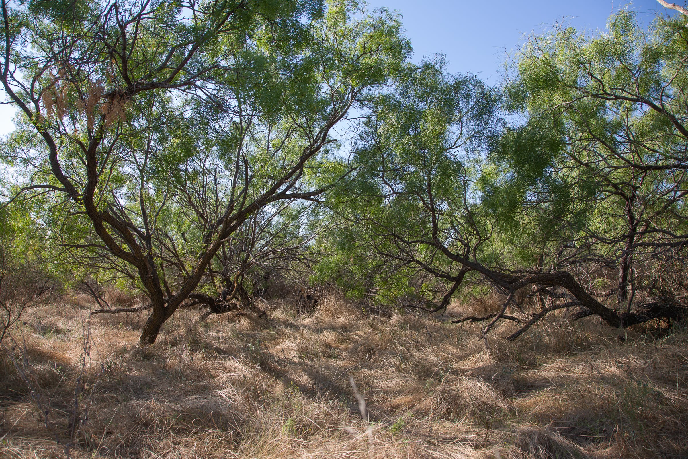Hunter’s Ranch photo 12