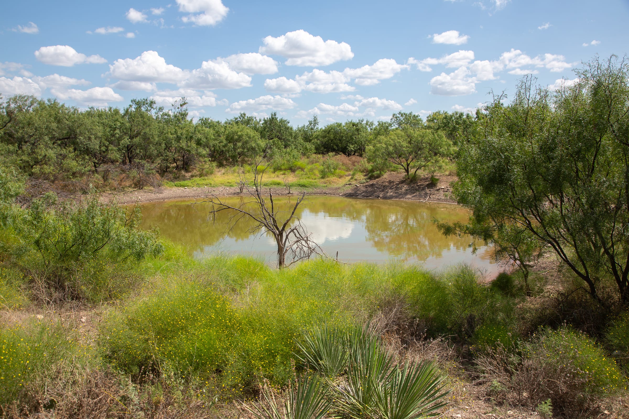 Hunter’s Ranch photo 18