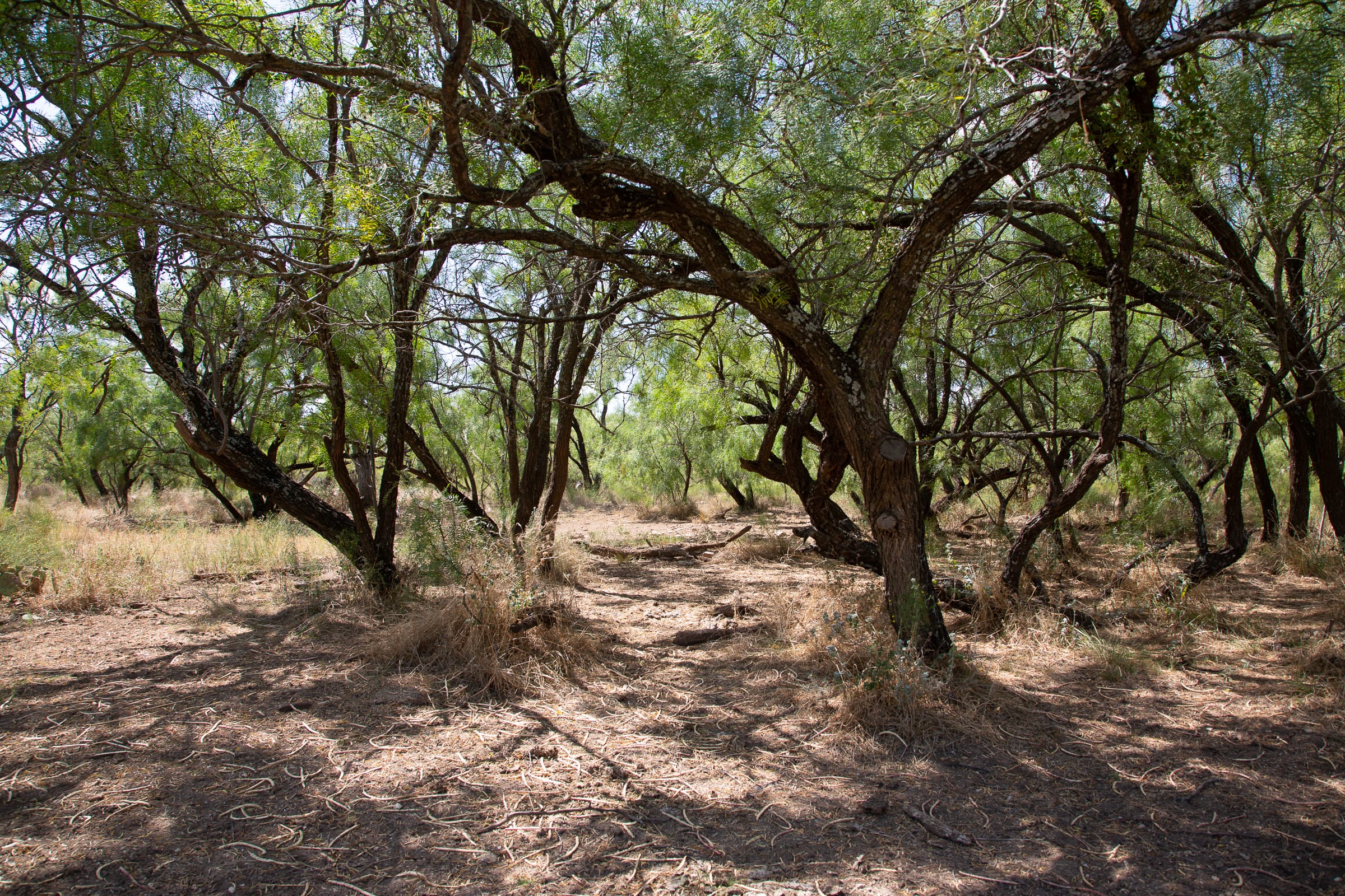 Hunter’s Ranch photo 19
