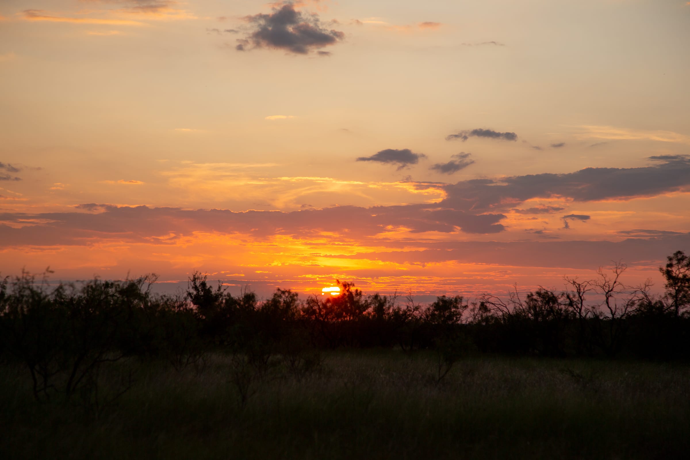 Hunter’s Ranch photo 10