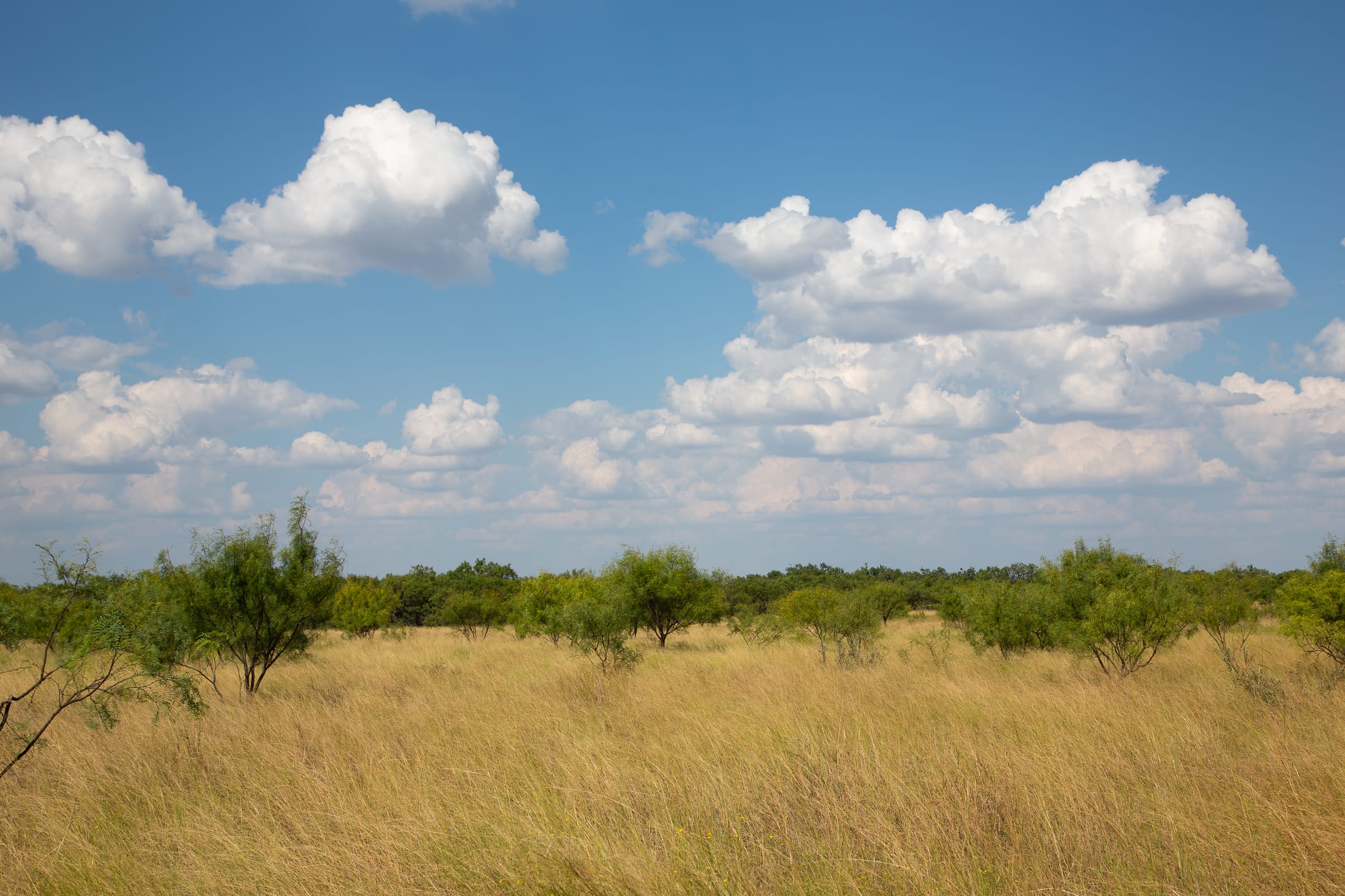 Hunter’s Ranch photo 7