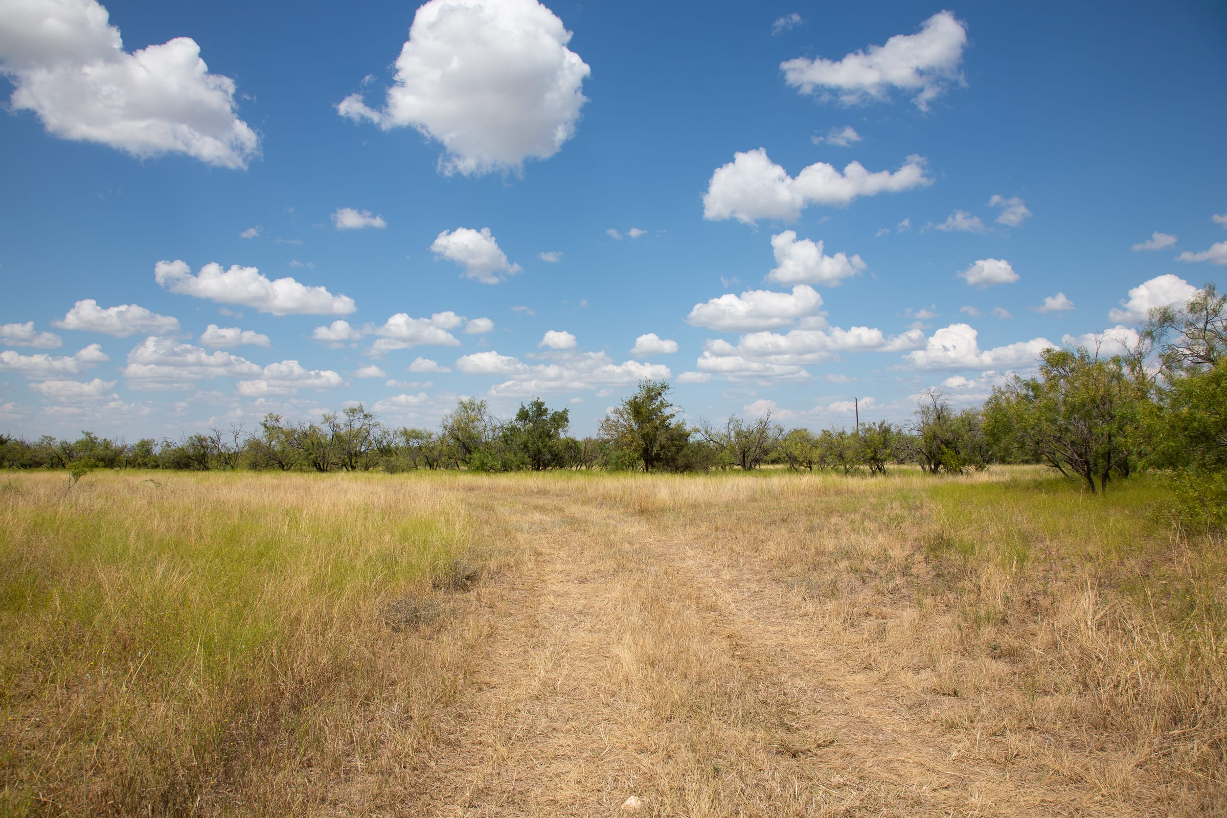 Hunter’s Ranch photo 20