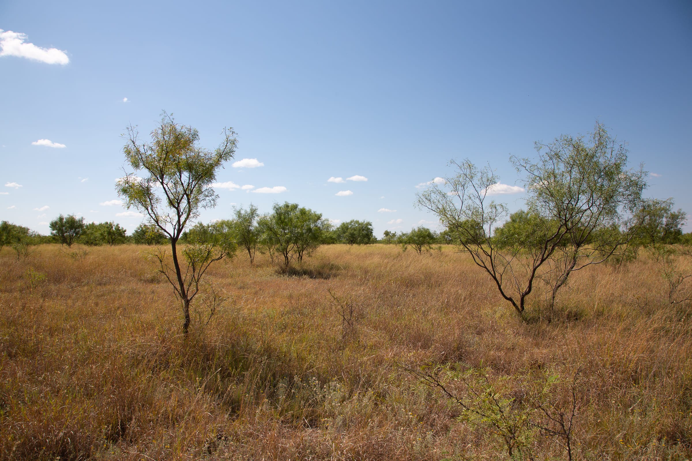 Hunter’s Ranch photo 17