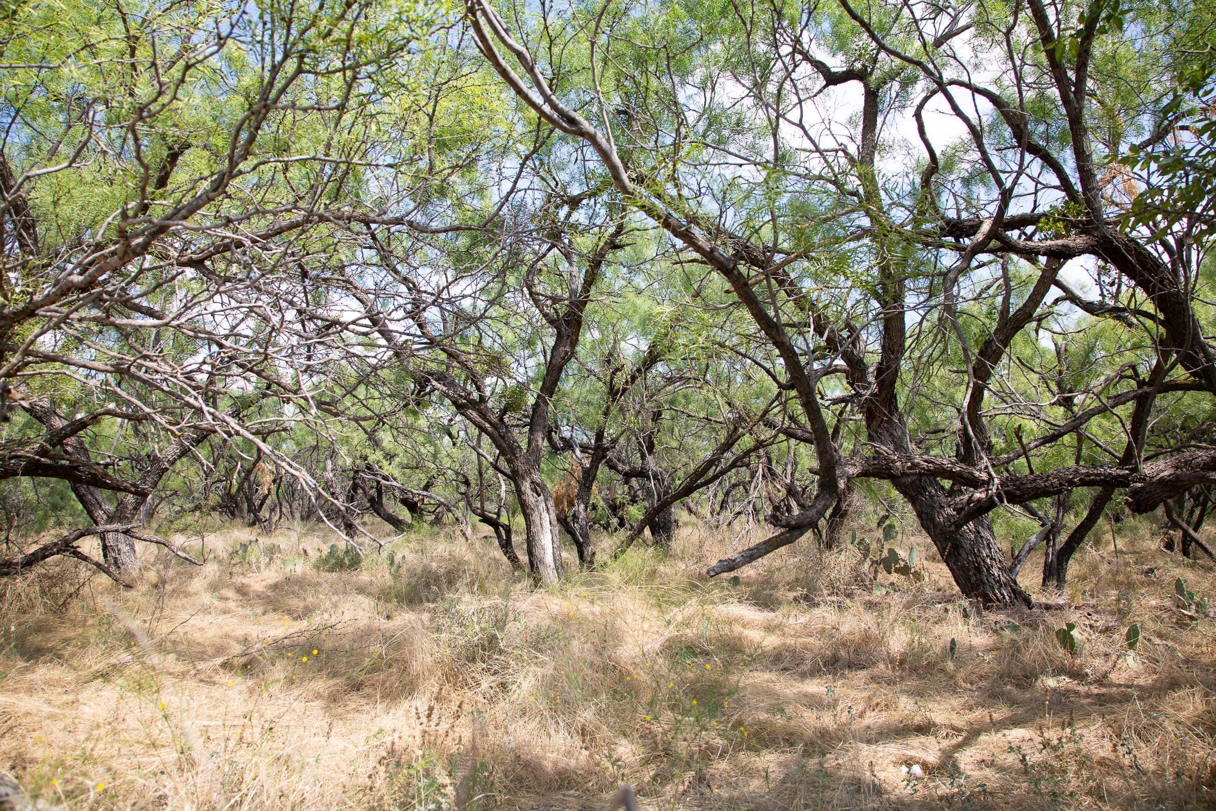 Hunter’s Ranch photo 3