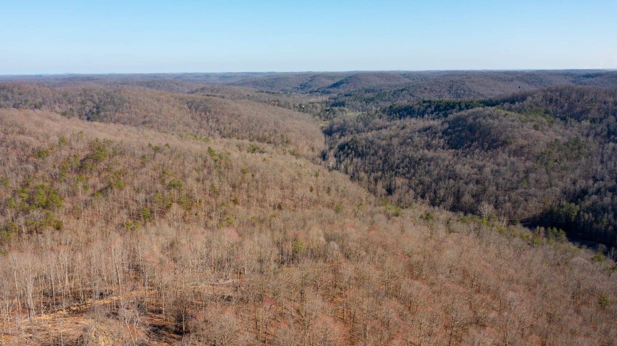 Creek Hollow photo 1