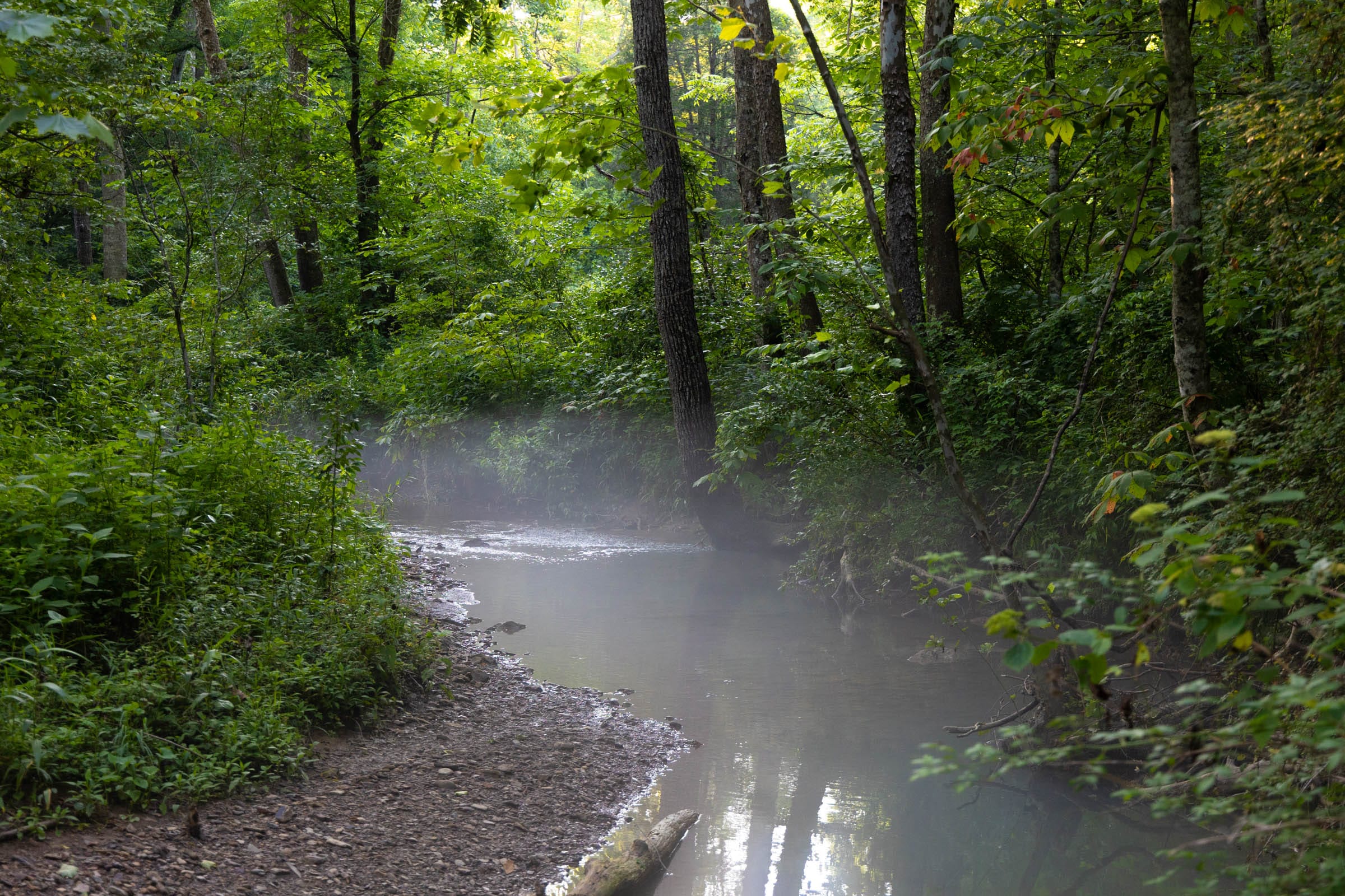 Creek Hollow photo 2