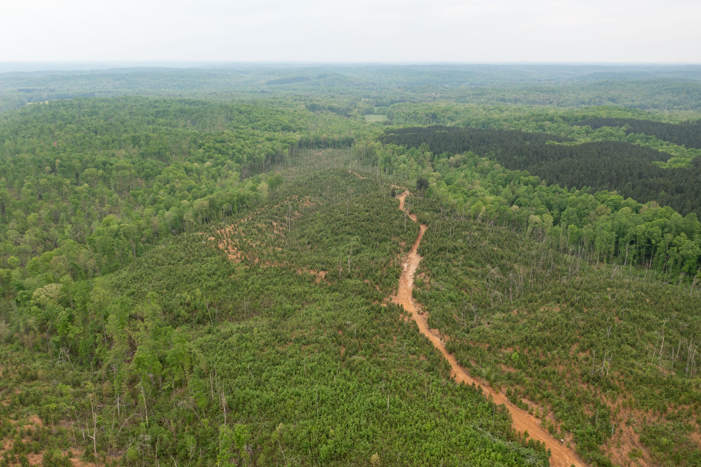 Red Barn Ranch Tract 36 photo 17