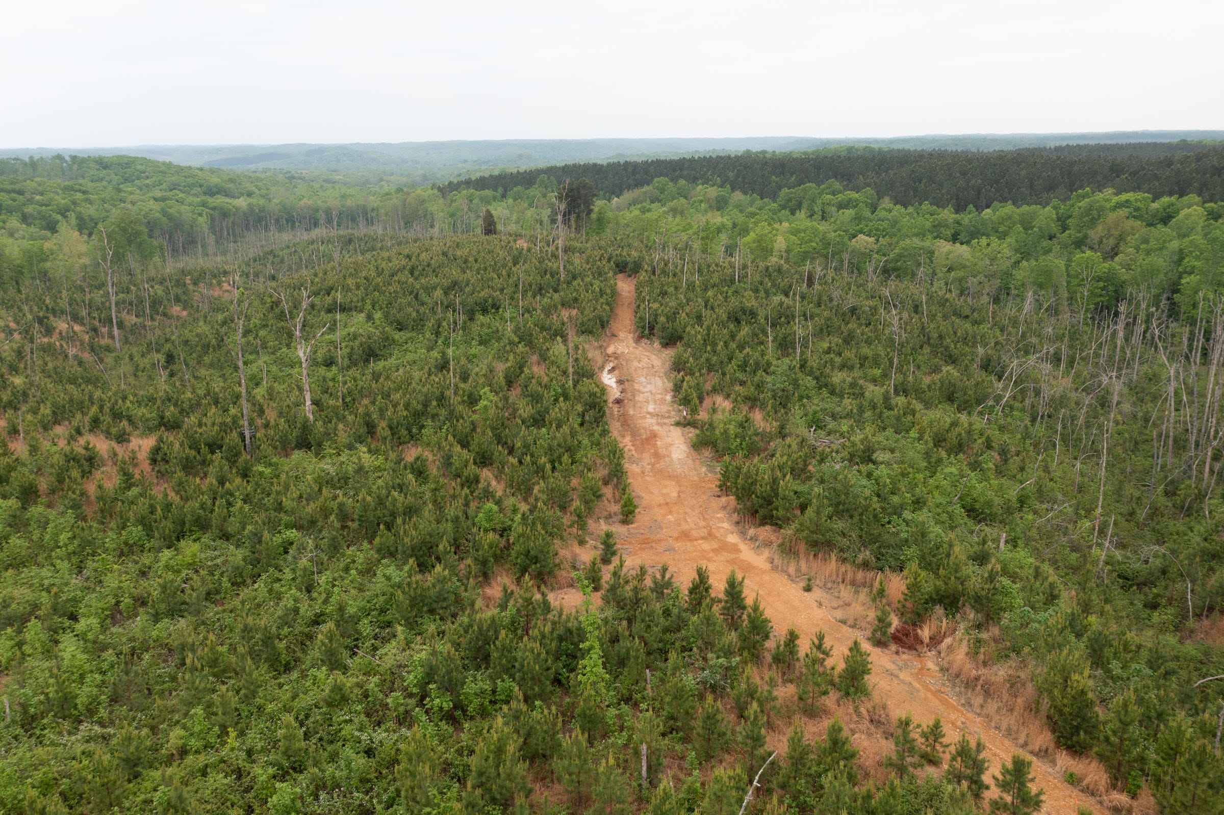 Red Barn Ranch Tract 36 photo 16