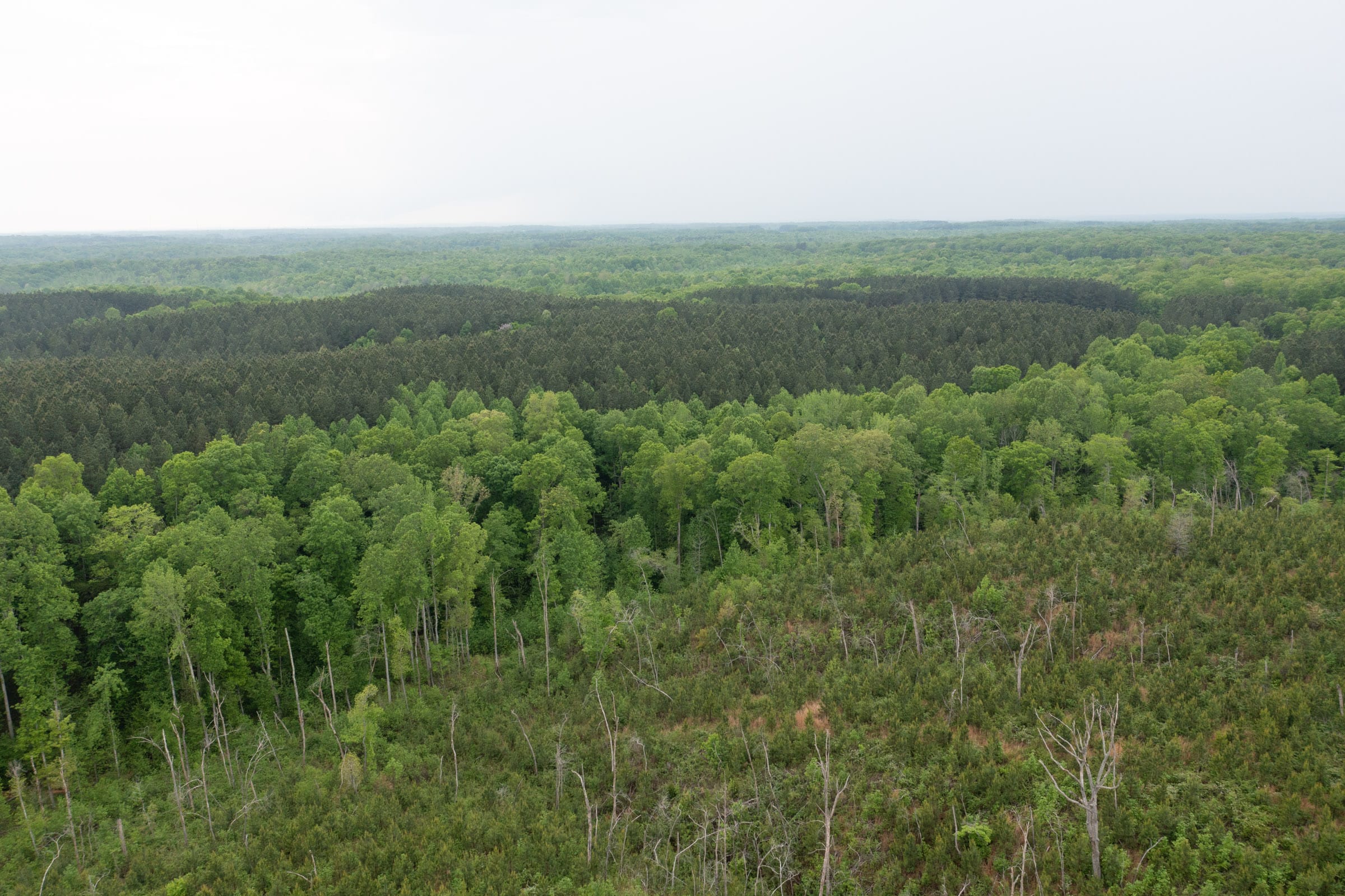 Red Barn Ranch Tract 36 photo 19