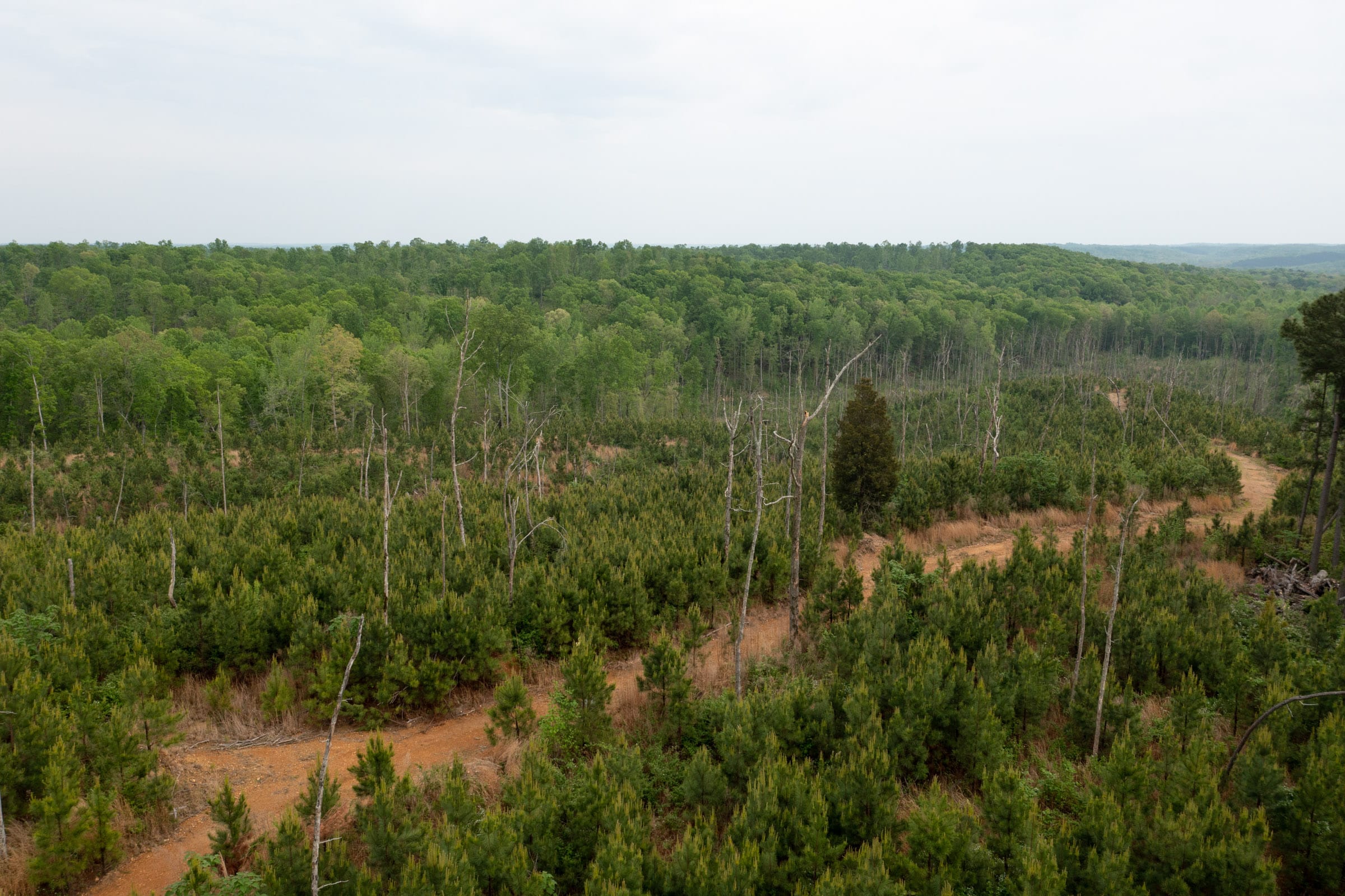 Red Barn Ranch Tract 36 photo 18