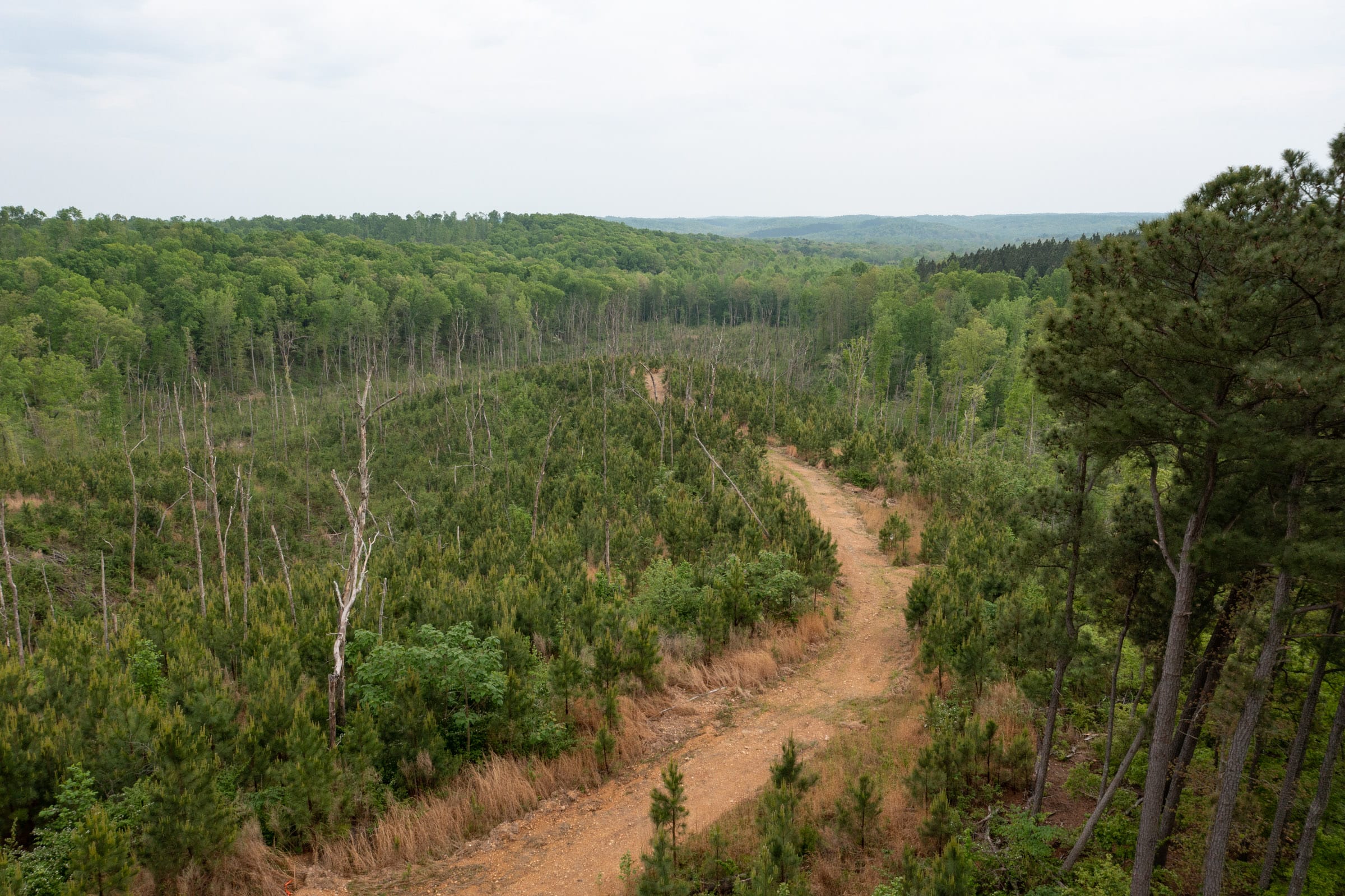 Red Barn Ranch Tract 36 photo 20