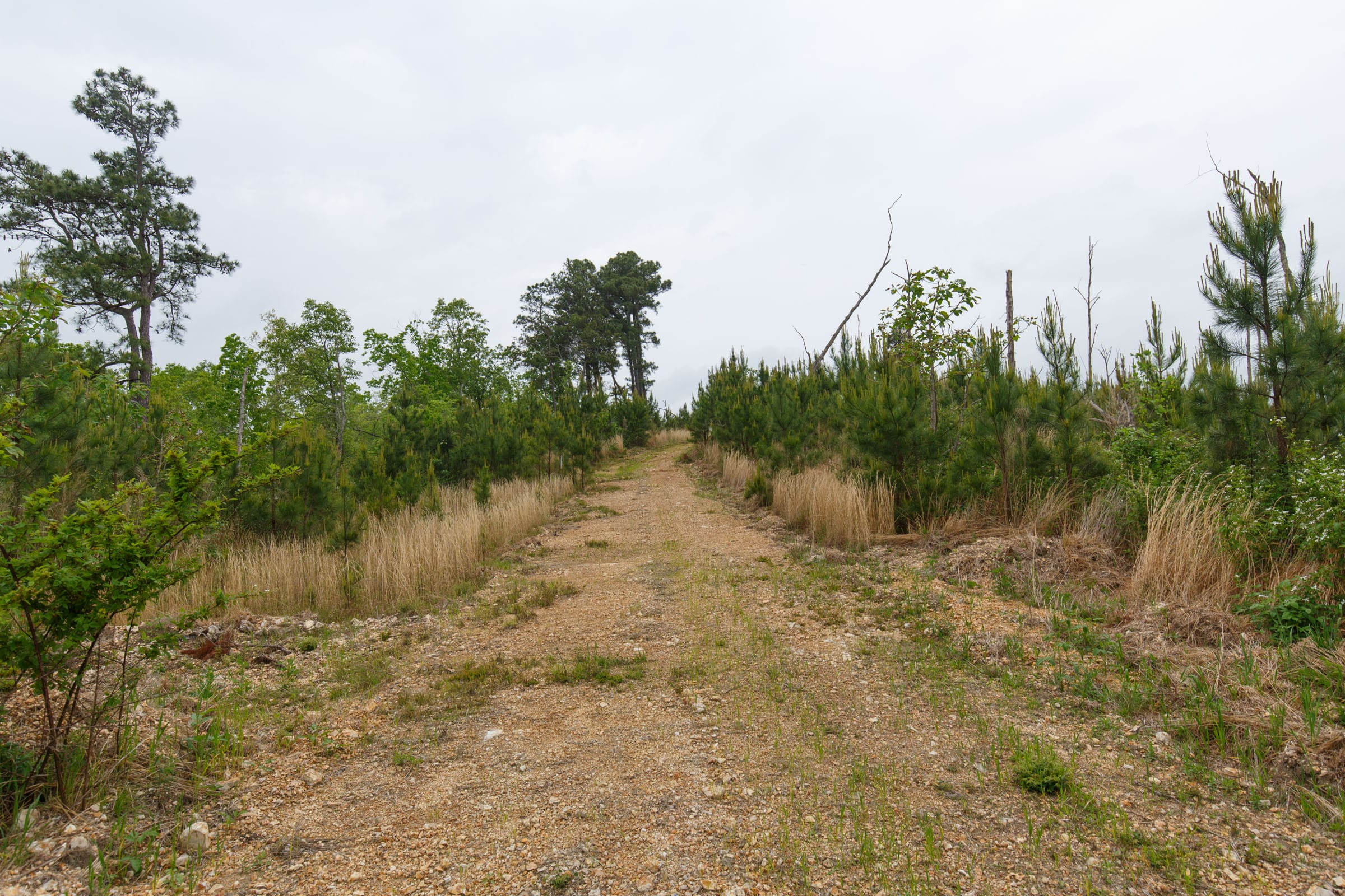 Red Barn Ranch Tract 36 photo 1