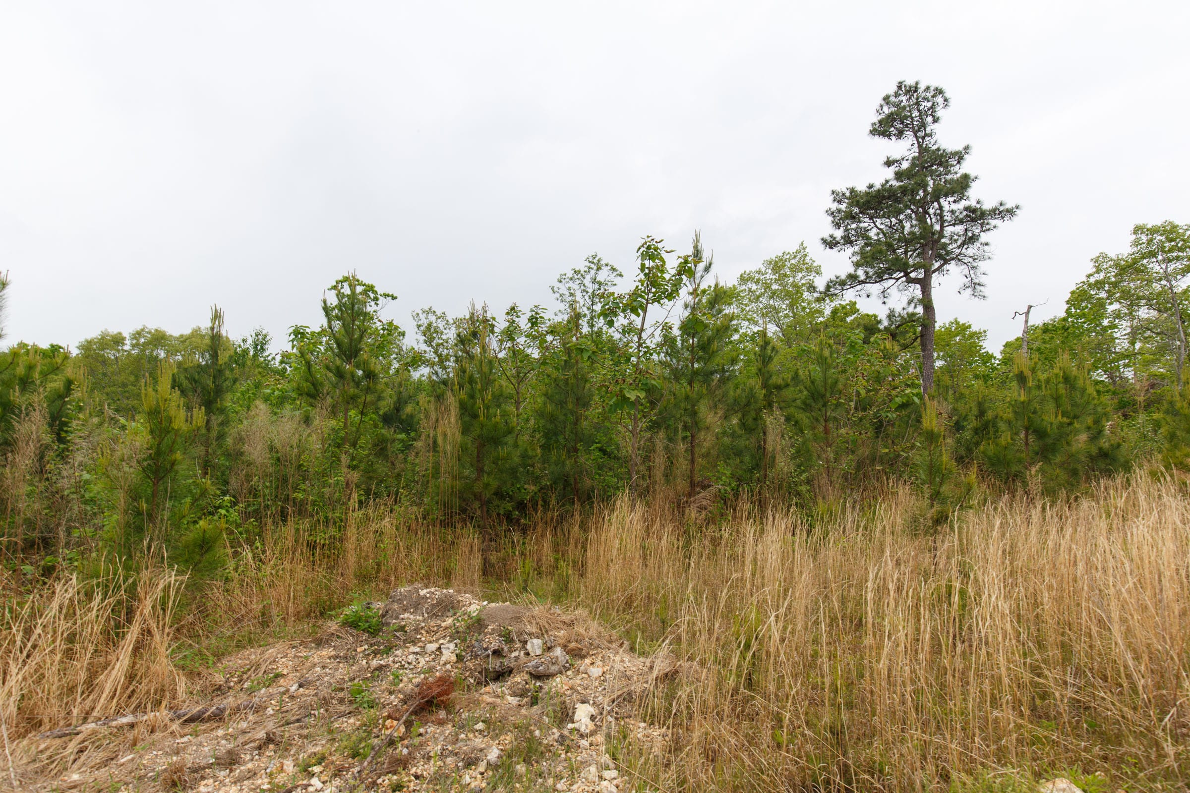 Red Barn Ranch Tract 36 photo 2