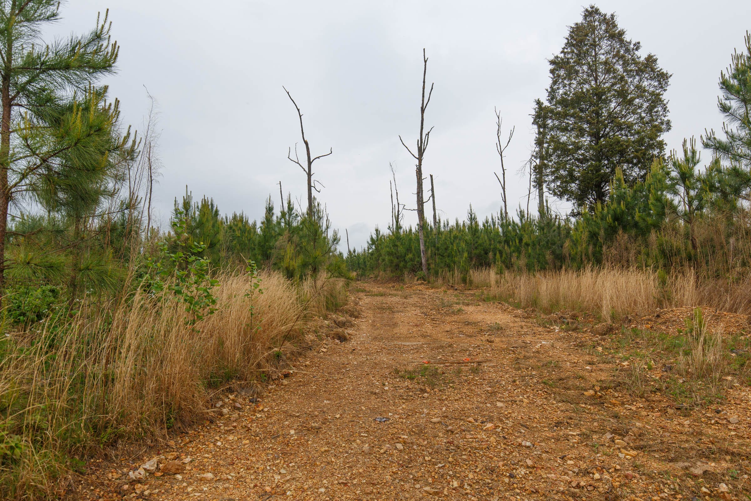Red Barn Ranch Tract 36 photo 5