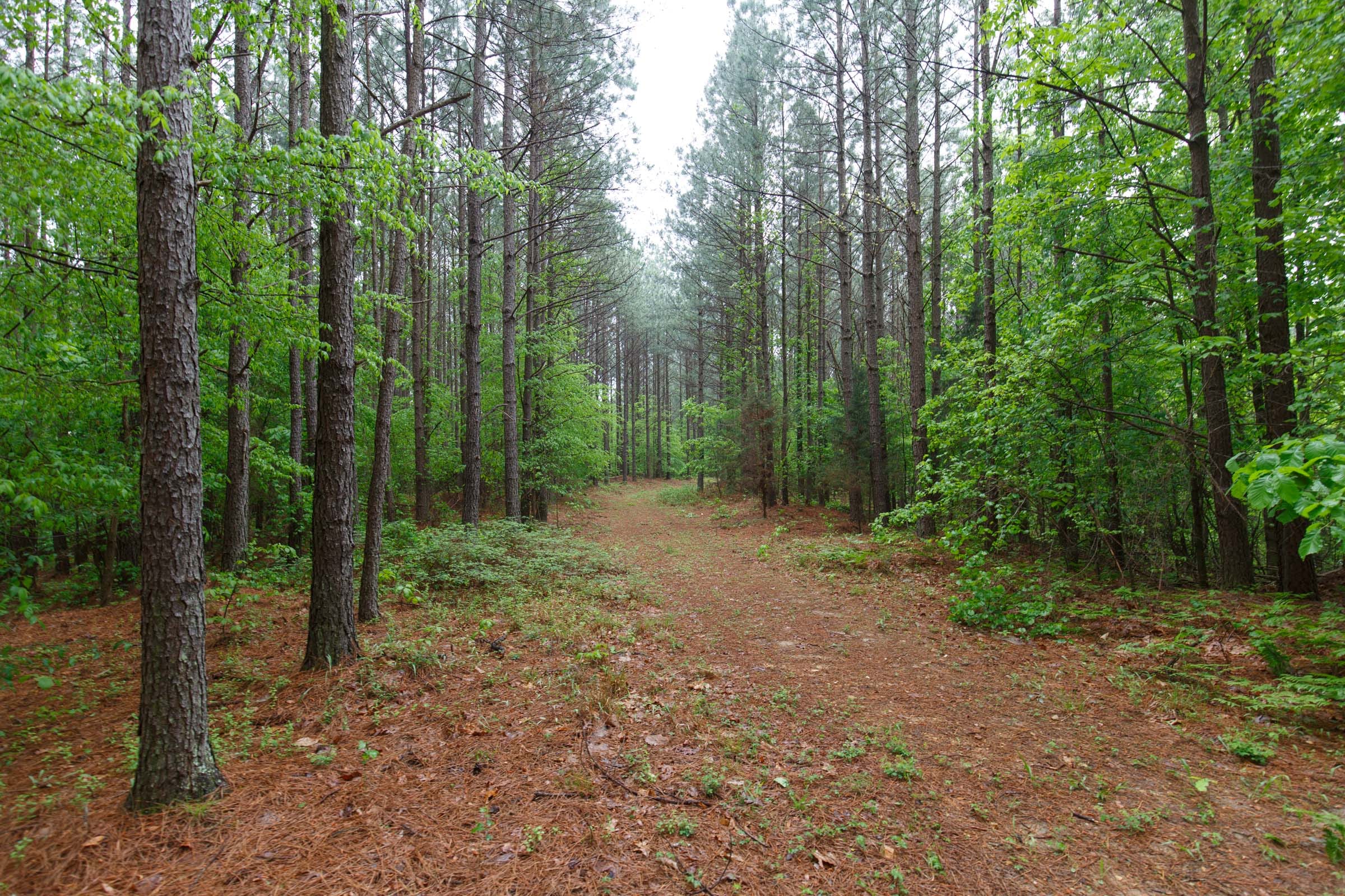 Red Barn Ranch Tract 36 photo 8