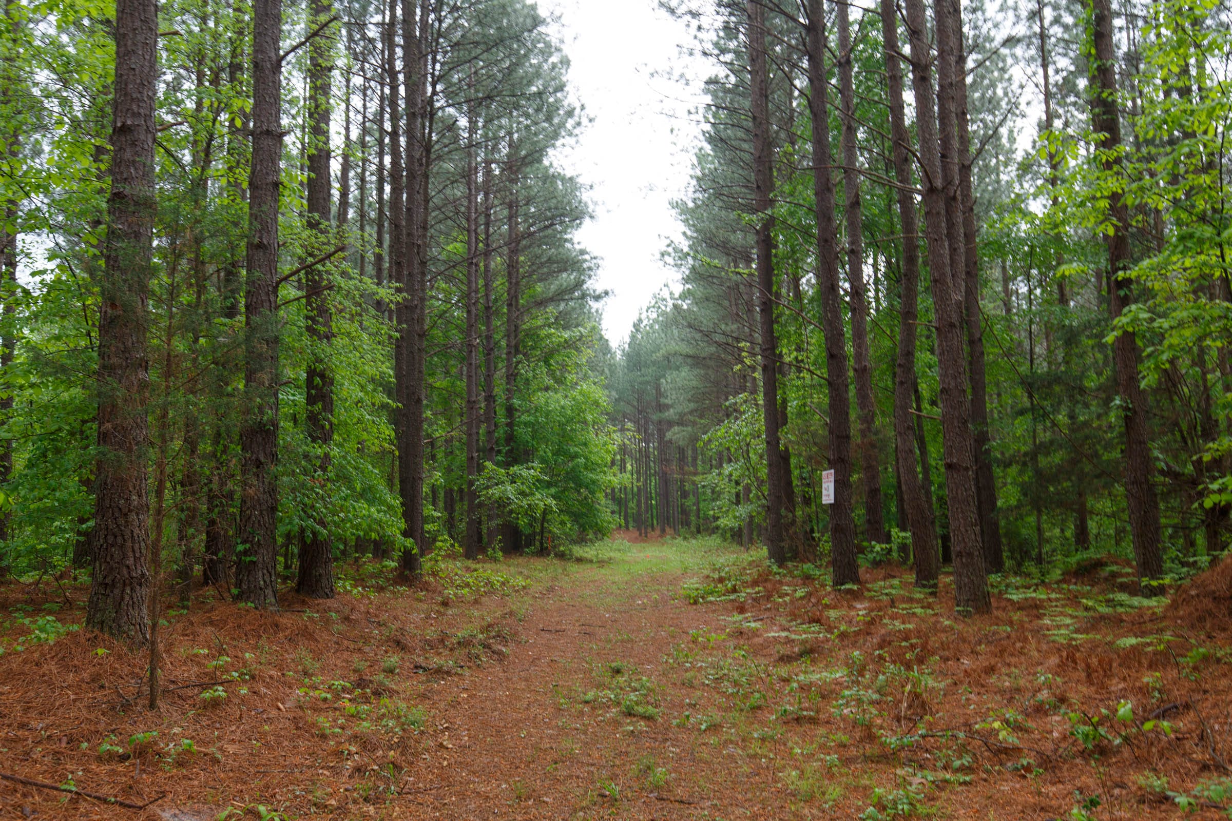 Red Barn Ranch Tract 36 photo 12