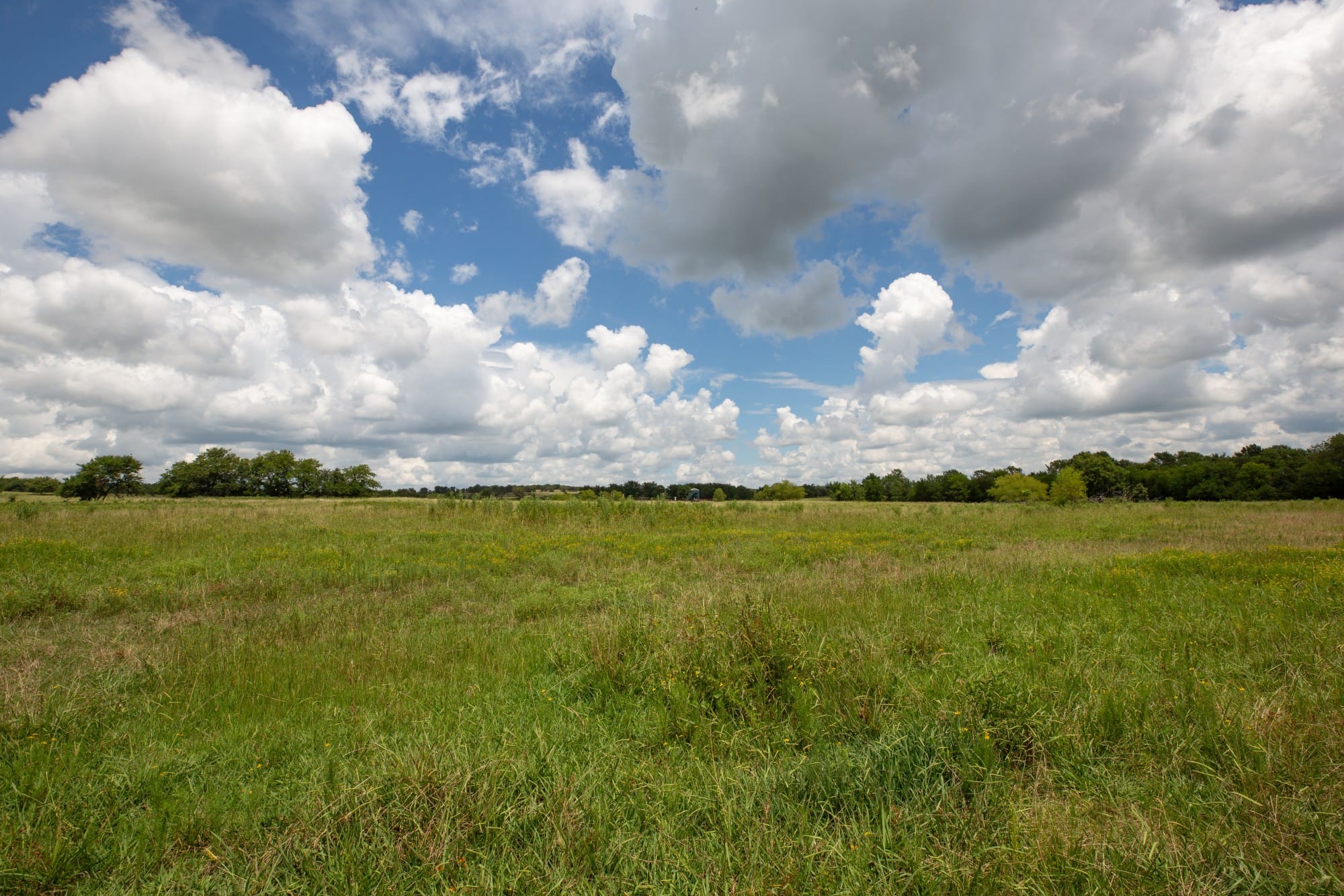 Paradise Valley Tract 4 photo 3