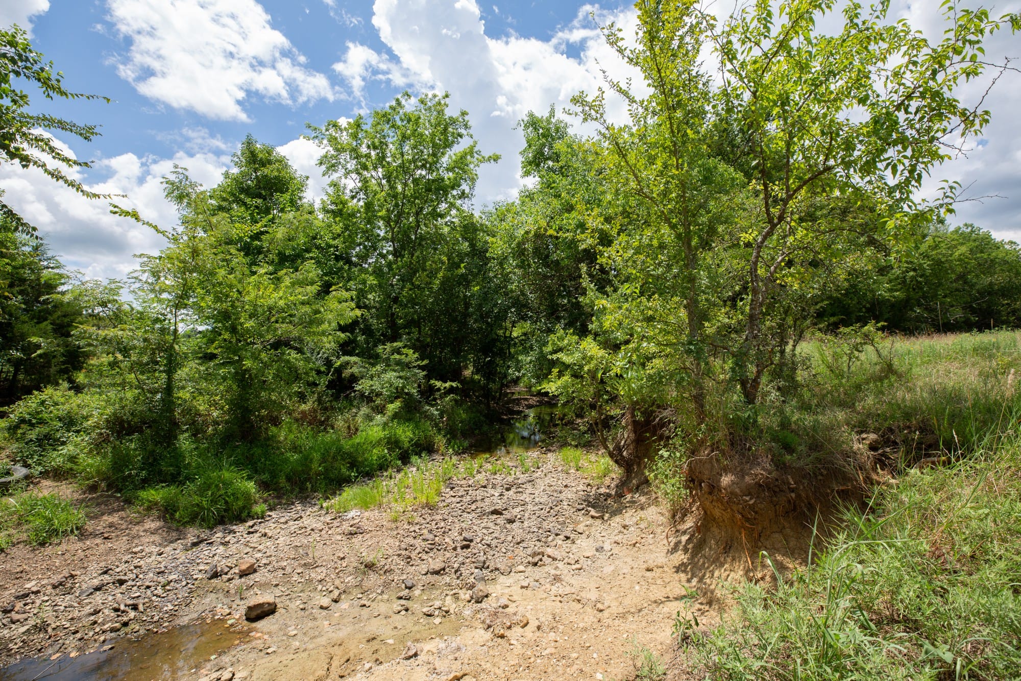 Paradise Valley Tract 4 photo 5
