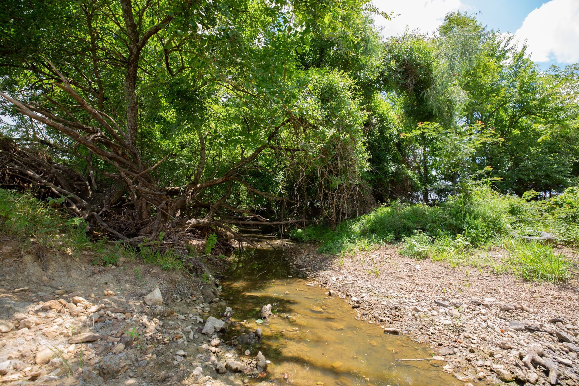 Paradise Valley Tract 4 photo 2