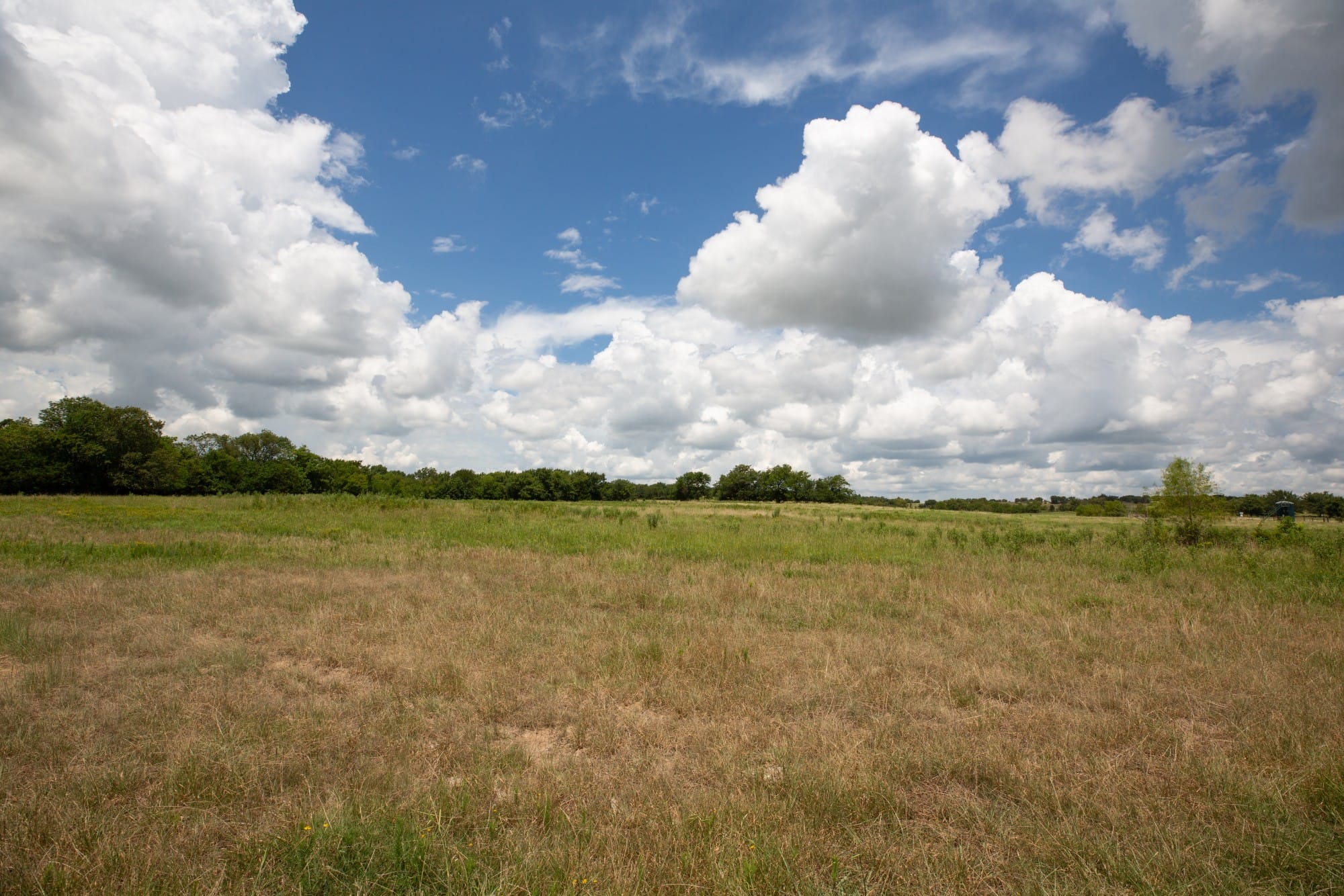 Paradise Valley Tract 4 photo 6
