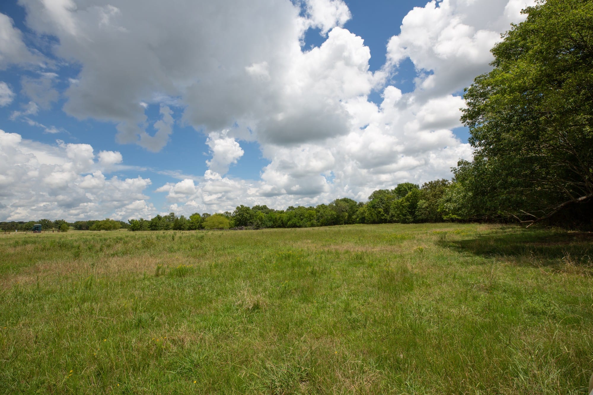 Paradise Valley Tract 4 photo 7