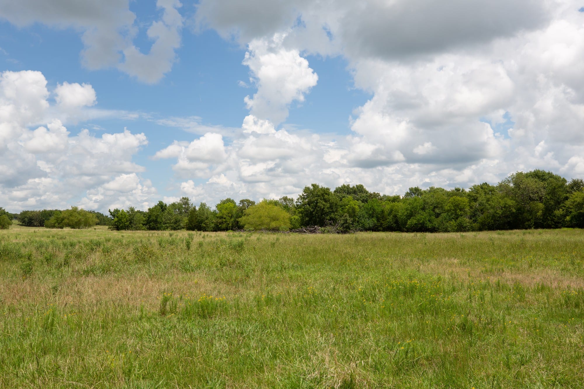 Paradise Valley Tract 4 photo 9