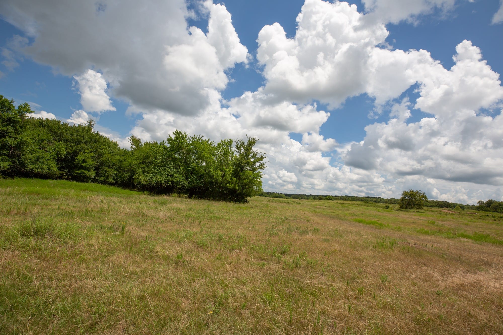 Paradise Valley Tract 4 photo 11