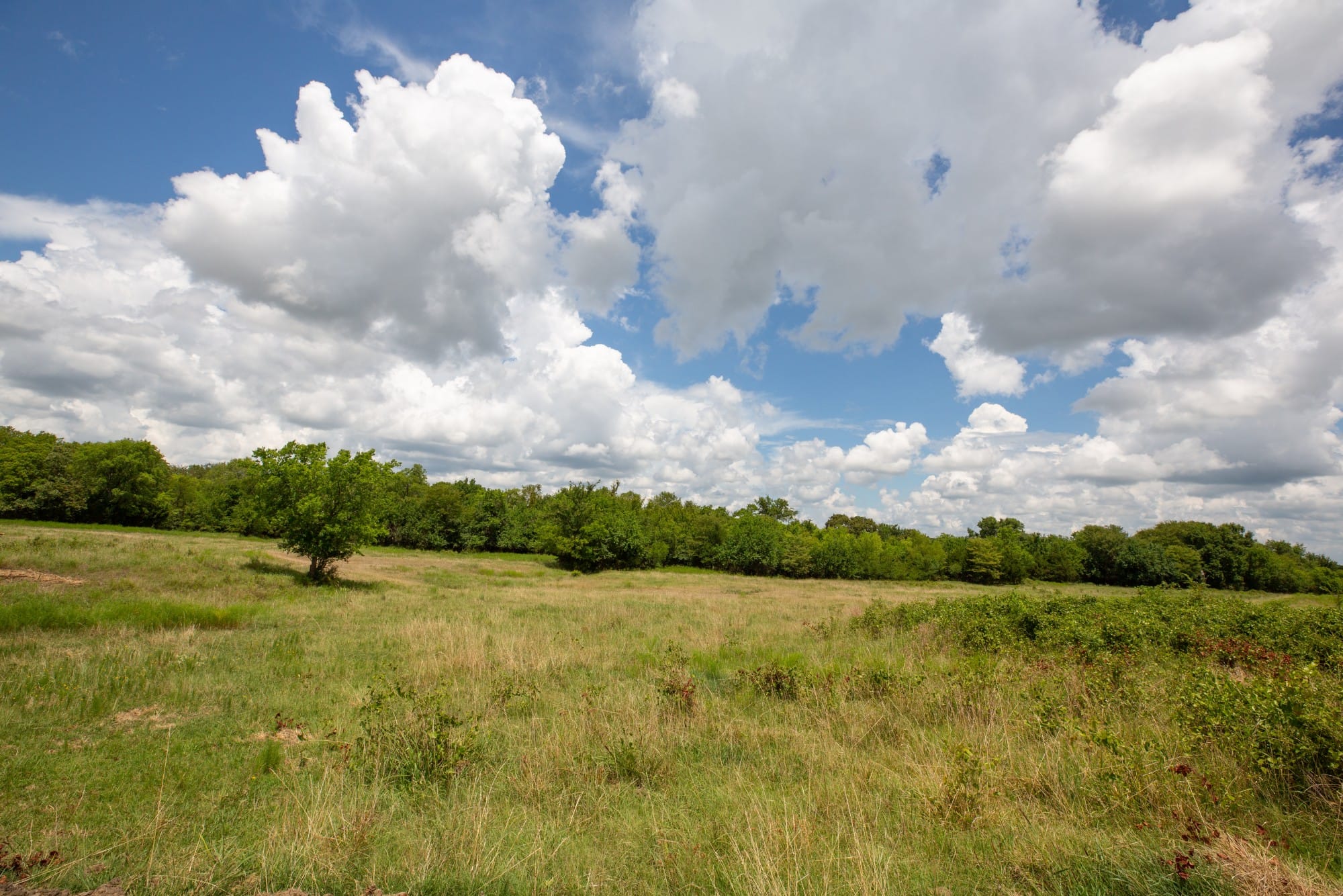 Paradise Valley Tract 4 photo 12