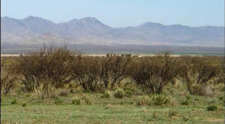 Cochise County Tract 5 photo 3